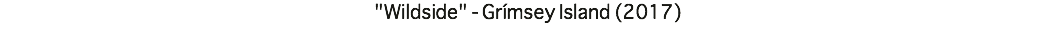 "Wildside" - Grímsey Island (2017)